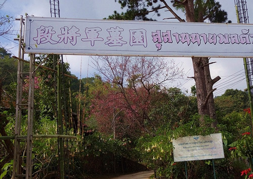 段希文(wén)将軍之(zhi)墓園 段希文(wén)将軍之(zhi)墓園